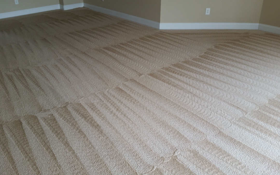 a carpeted room with white walls