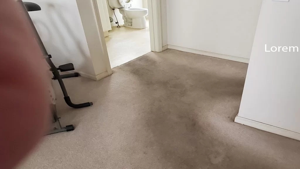 a dog standing in a room