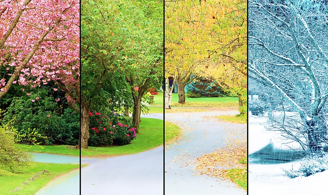 Seasonal Carpet Maintenance Tips