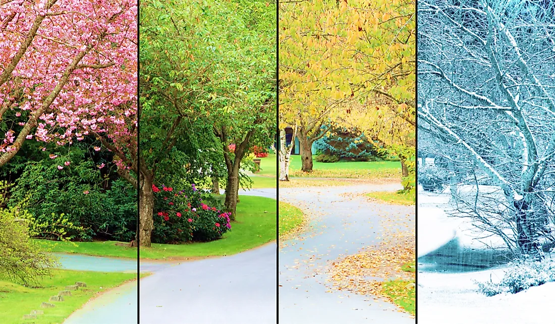 a collage of different seasons of trees