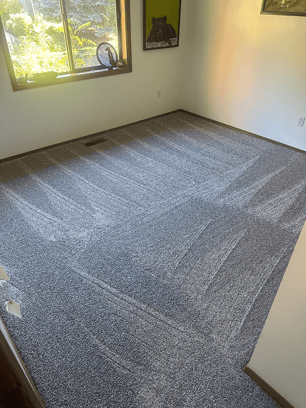 New gray carpet flooring installed in a bright, clean room with large windows.