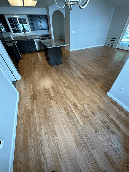 Beautiful hardwood flooring in a modern kitchen and living area. Perfect for home renovation and flo.